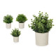 CEMENT POT GREEN FLOWERS ASSORT 4