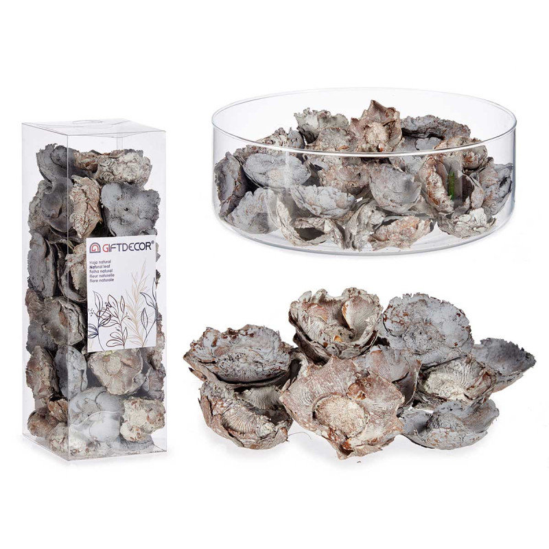 SACO FOLHAS FLORES NATURAL