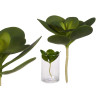 PLANT ROUND FULL