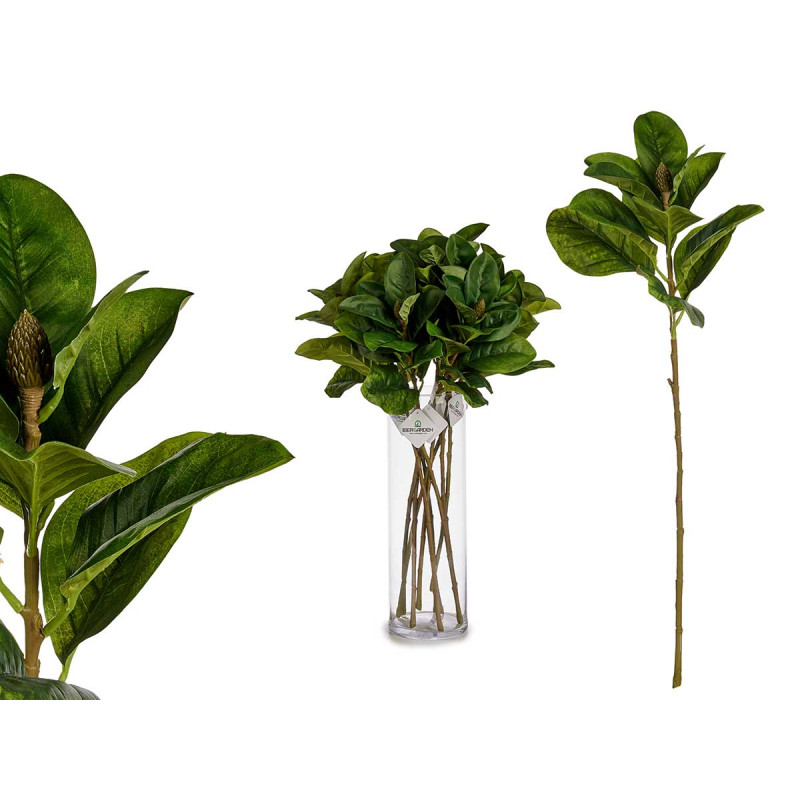 BRANCH LEAVES TIP