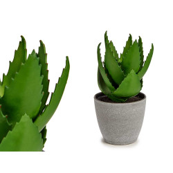 VASO GRANDE COM ALOE VERA 