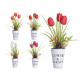 PLANTE TULIPE POT MÉTAL ASSORT 4