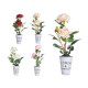 PLANTE ROSE  POT MÉTAL ASSORT 4 