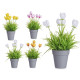 TULIP FLOWERPOT ASSORT 4