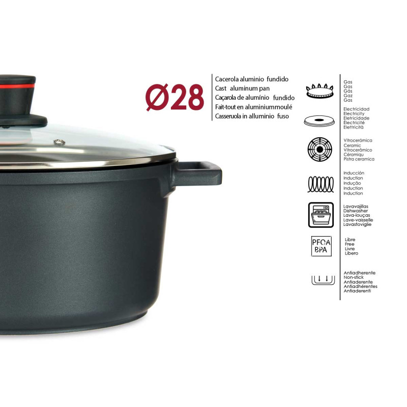 PENTOLA 28CM IN ALLUM FUSO FULL IND MOLTEN