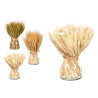 VASE BOUQUET WHEAT SMALL 3 COLOURS ASSORT