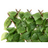 EXTENDABLE PANEL 90X180CM GREEN LEAF