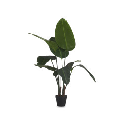 PIANTA PICCOLO VASO IN ARGENTO 120CM 