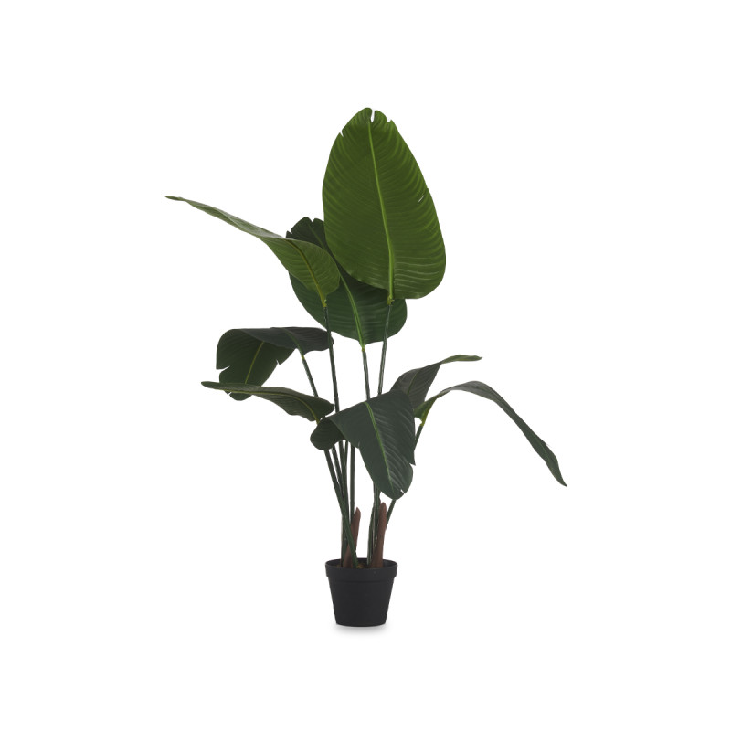 PIANTA PICCOLO VASO IN ARGENTO 120CM 
