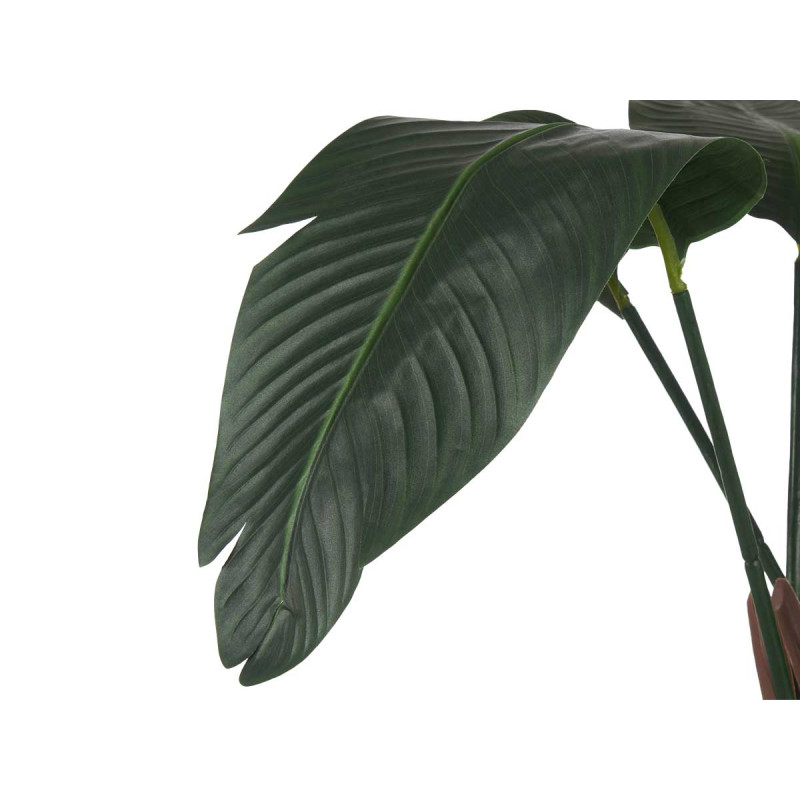 PIANTA PICCOLO VASO IN ARGENTO 120CM 
