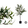 OLIVEIRA 150CM COM VASO