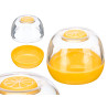 MANUTENZIONE DEI LIMONI CONTENITORE