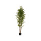 BAMBU COM VASO GRANDE 180CM