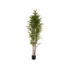 PLANTA CON MACETA BAMBU GRANDE 180CM