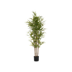 BAMBU COM VASO MÉDIO 150CM