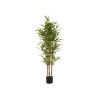BAMBU COM VASO MÉDIO 150CM