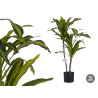 PLANTA FOLHA LARGA COM VASO PEQUENA 90CM