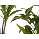 PLANTA FOLHA LARGA COM VASO PEQUENA 90CM