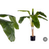 BANANEIRA COM VASO PEQUENA 120CM