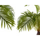PALMEIRA COM VASO 90CM