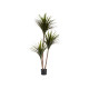 PLANTA FOLHA FINA COM VASO GRANDE 200CM