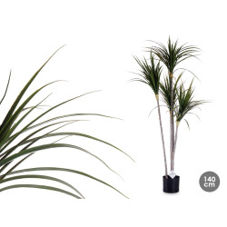 PIANTA VASO FOGLIA STRETTA PICCOLA 140CM 