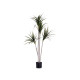 PLANTA FOLHA FINA COM VASO PEQUENA 140CM