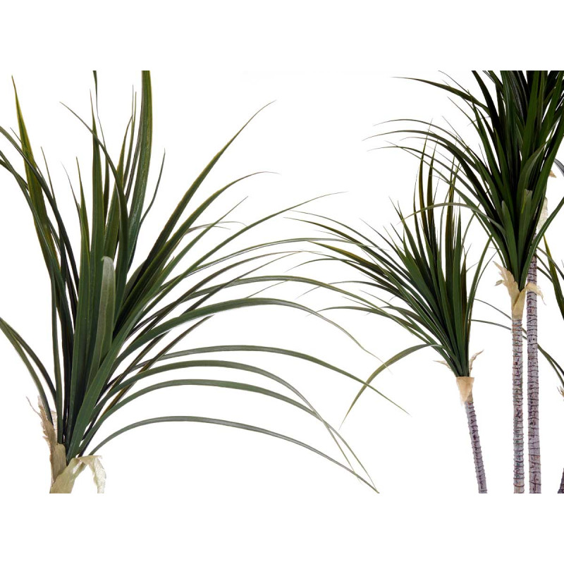 PIANTA VASO FOGLIA STRETTA PICCOLA 140CM 