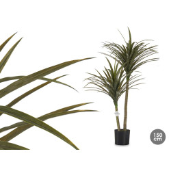 PIANTA VASO FOGLIA STRETTA MEDIA 150CM