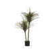 PLANTA FOLHA FINA COM VASO MÉDIA 150CM