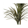 PLANTA FOLHA FINA COM VASO MÉDIA 150CM