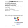 SET 4 PINCES AIMANT ASSORT COUL