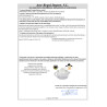 EXPRIMIDOR PLASTICO SURT 2 COLORES