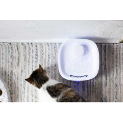 FONTANA ANIMALE DOMESTICO