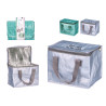 BORSA TERMICA 5L ASS 2 COL
