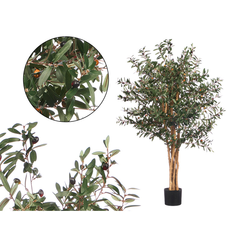 SMALL OLIVE TREE POT