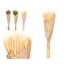RAMO TRIGO NATURAL SORT 3 COR