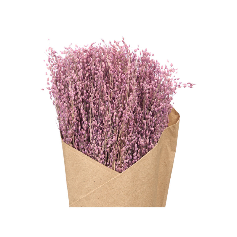 RAMO CENTEIO NATURAL SORT 3 COR