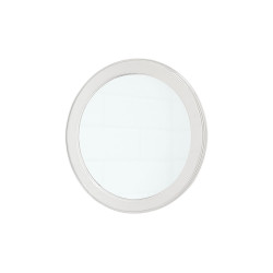 MIRROR SUCTION CUP MAGNIFICATION TRANSPARENT