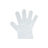 SET 100 GANTS PLAST JETABLES TRANSP