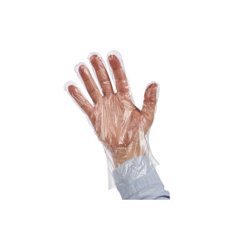 SET 100 DISPOSABLE PLASTIC GLOVES TRANSP