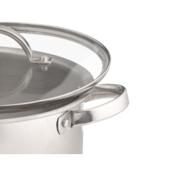 TACHO DE INDUÇÃO COM TAMPA DE VIDRO 24 CM 