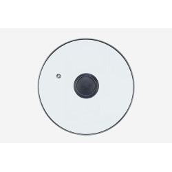 GLASS LID SILVER EDGE 22CM