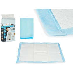 10 PIECES 60X60CM TRAINING PAD WITH ADHESIVE