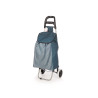 CARRELLO SPESA 2 RUOTE RIGHE BLU