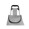 COOL GRAY SHOPPING TROLLEY