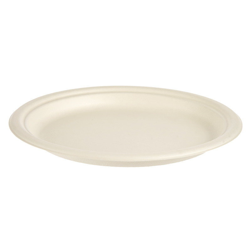 SET 6 BIODEGRADABLE DINNER PLATES LARGE