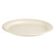 SET 6 BIODEGRADABLE DINNER PLATES LARGE