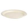 SET 6 BIODEGRADABLE DINNER PLATES LARGE