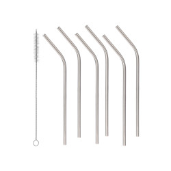 SET 6 STEEL STRAW WITH CLEANER